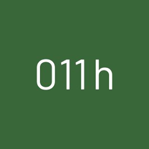 011h